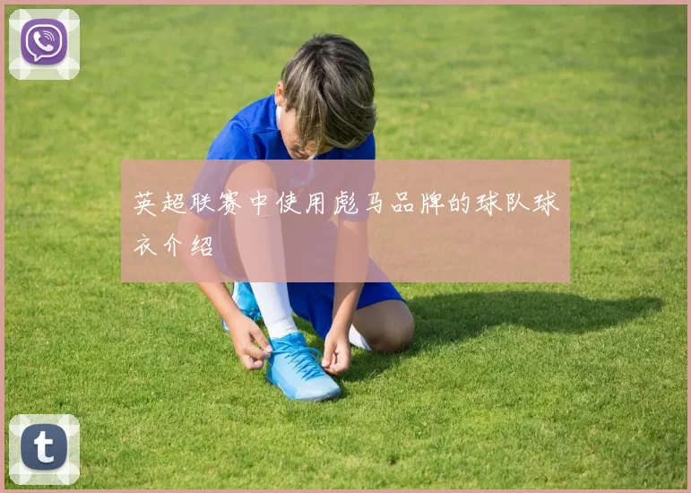 英超联赛中使用彪马品牌的球队球衣介绍