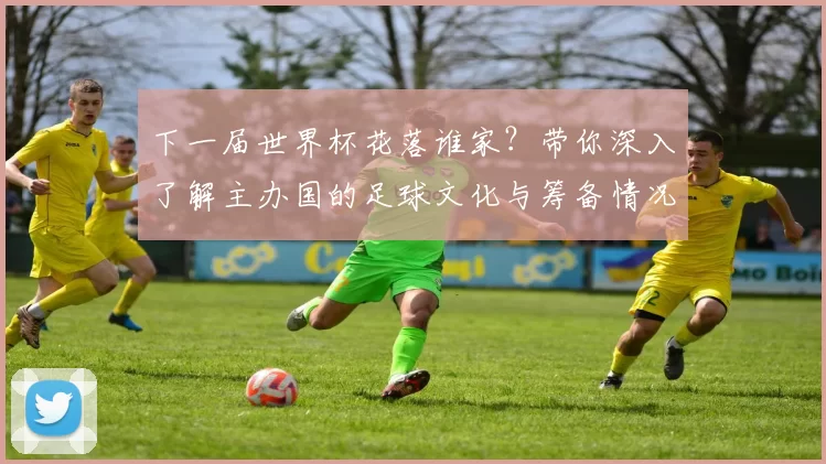 下一届世界杯花落谁家？带你深入了解主办国的足球文化与筹备情况