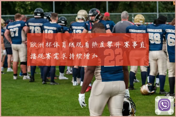 欧洲杯体育线观看热度攀升 赛事直播观赛需求持续增加