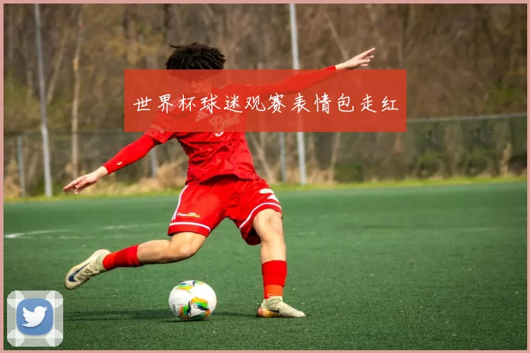 世界杯球迷观赛表情包走红