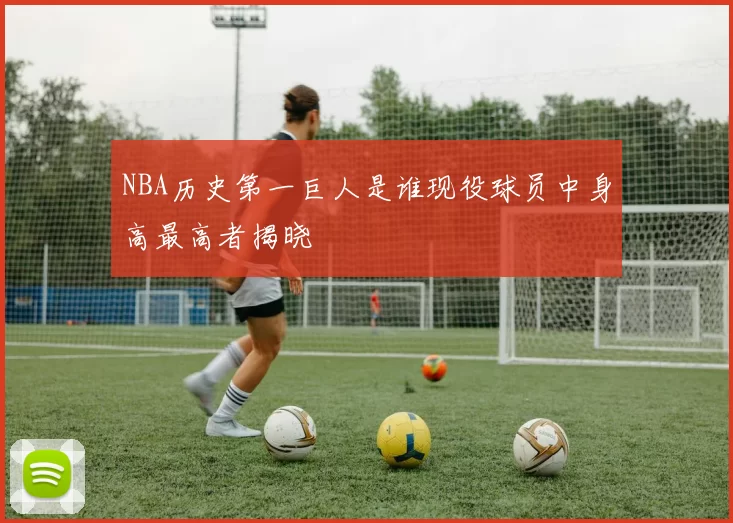 NBA历史第一巨人是谁现役球员中身高最高者揭晓