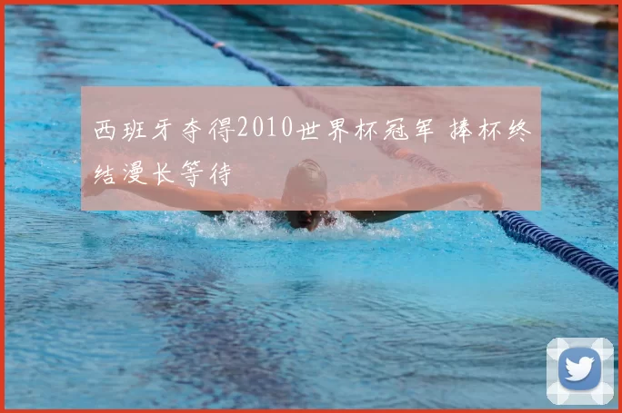西班牙夺得2010世界杯冠军 捧杯终结漫长等待