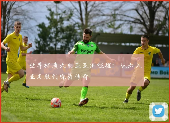 世界杯澳大利亚亚洲征程:从加入亚足联到绿茵传奇