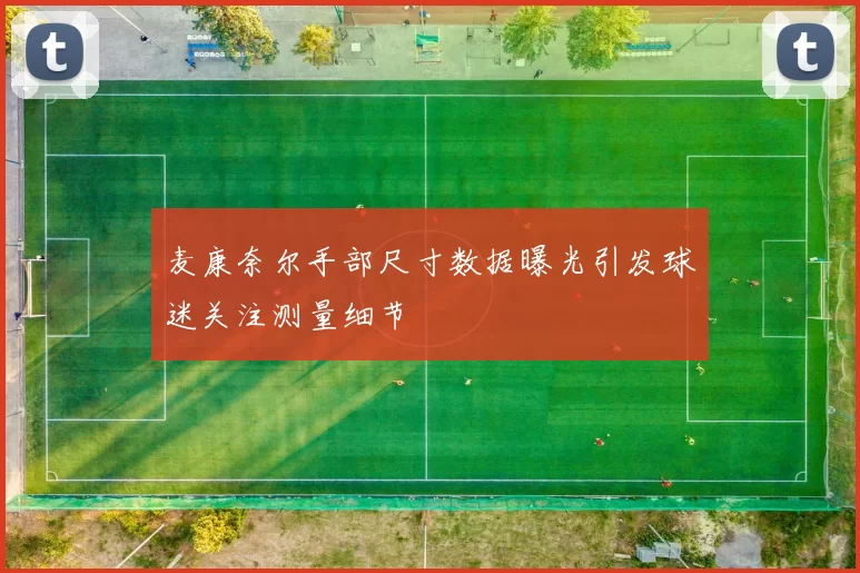 麦康奈尔手部尺寸数据曝光引发球迷关注测量细节