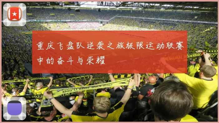 重庆飞盘队逆袭之旅极限运动联赛中的奋斗与荣耀
