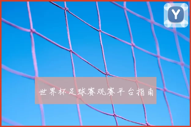世界杯足球赛观赛平台指南