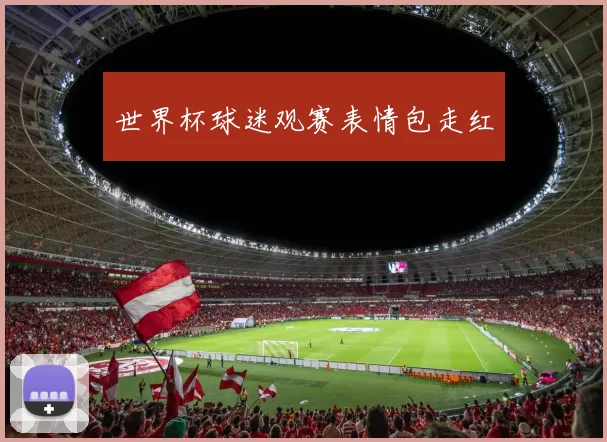 世界杯球迷观赛表情包走红