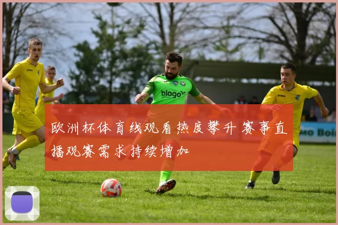 欧洲杯体育线观看热度攀升 赛事直播观赛需求持续增加